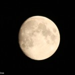Newton Grove CL Moon Megz photography South Newington